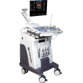 DW-C8 Plus trolley color doppler and 4D function ultrasound machine